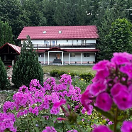 Vacation Villa Sucevita Bagian luar foto