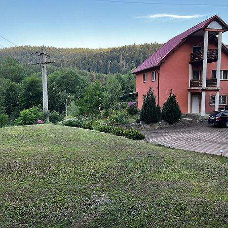 Vacation Villa Sucevita Bagian luar foto