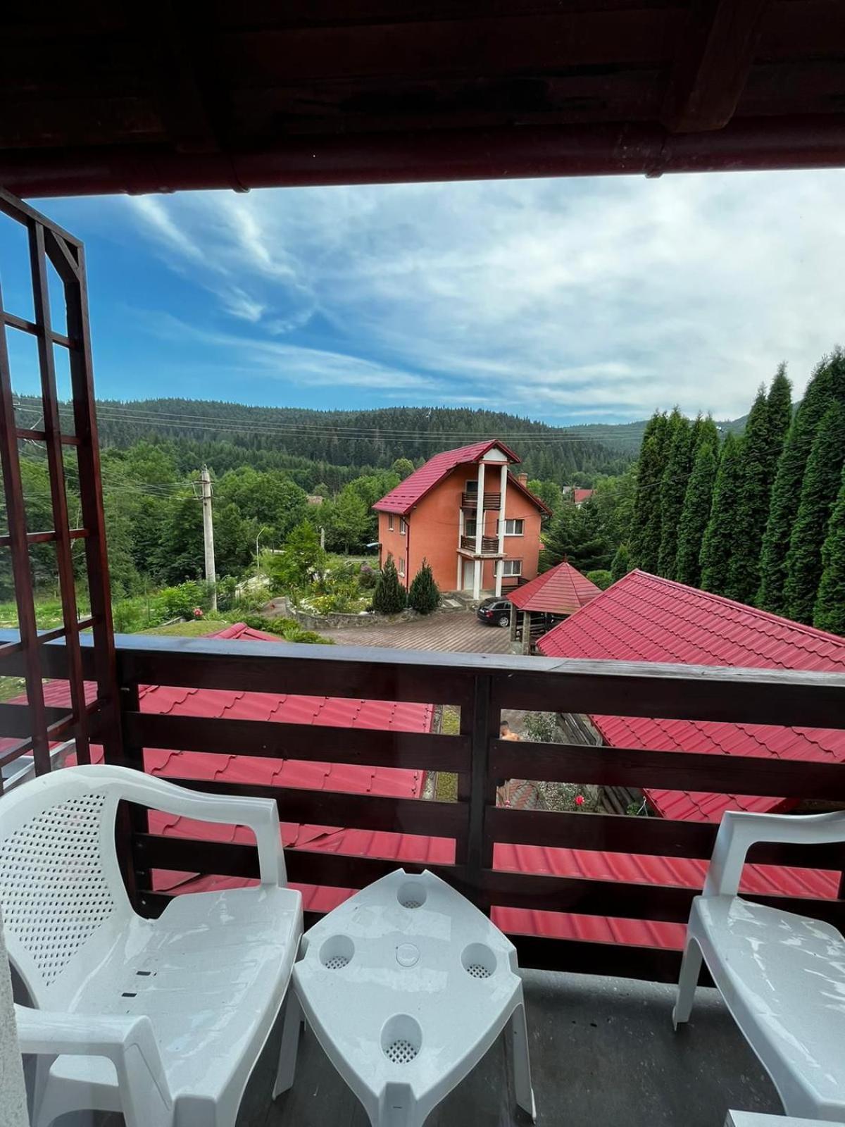 Vacation Villa Sucevita Bagian luar foto