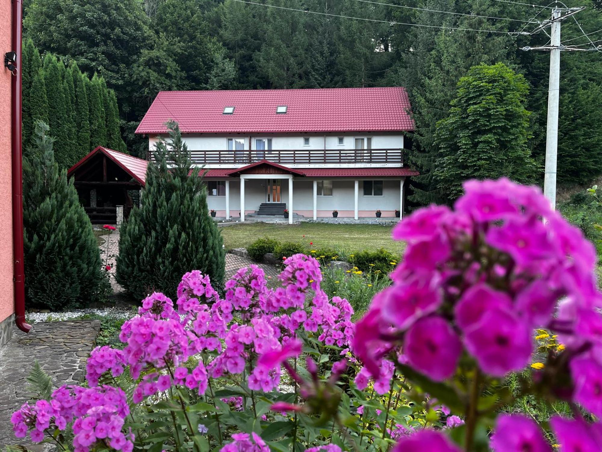 Vacation Villa Sucevita Bagian luar foto